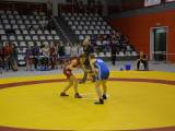 zapasy (16)